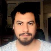 Profesor de Historia del Arte y Pintura